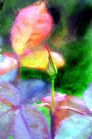 slideshow