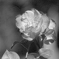 charcoal Deep Dream Effect charcoalg Deep Dream Effect