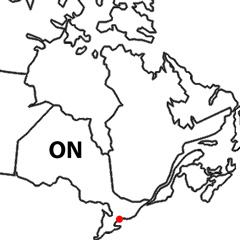 The location of Toronto, in the Canadian province of Ontario
